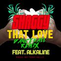 That Love (Dancehall Remix)专辑