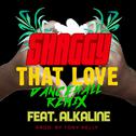 That Love (Dancehall Remix)专辑
