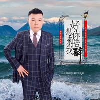 望海天涯 - 好想你来陪我醉(原版立体声伴奏)