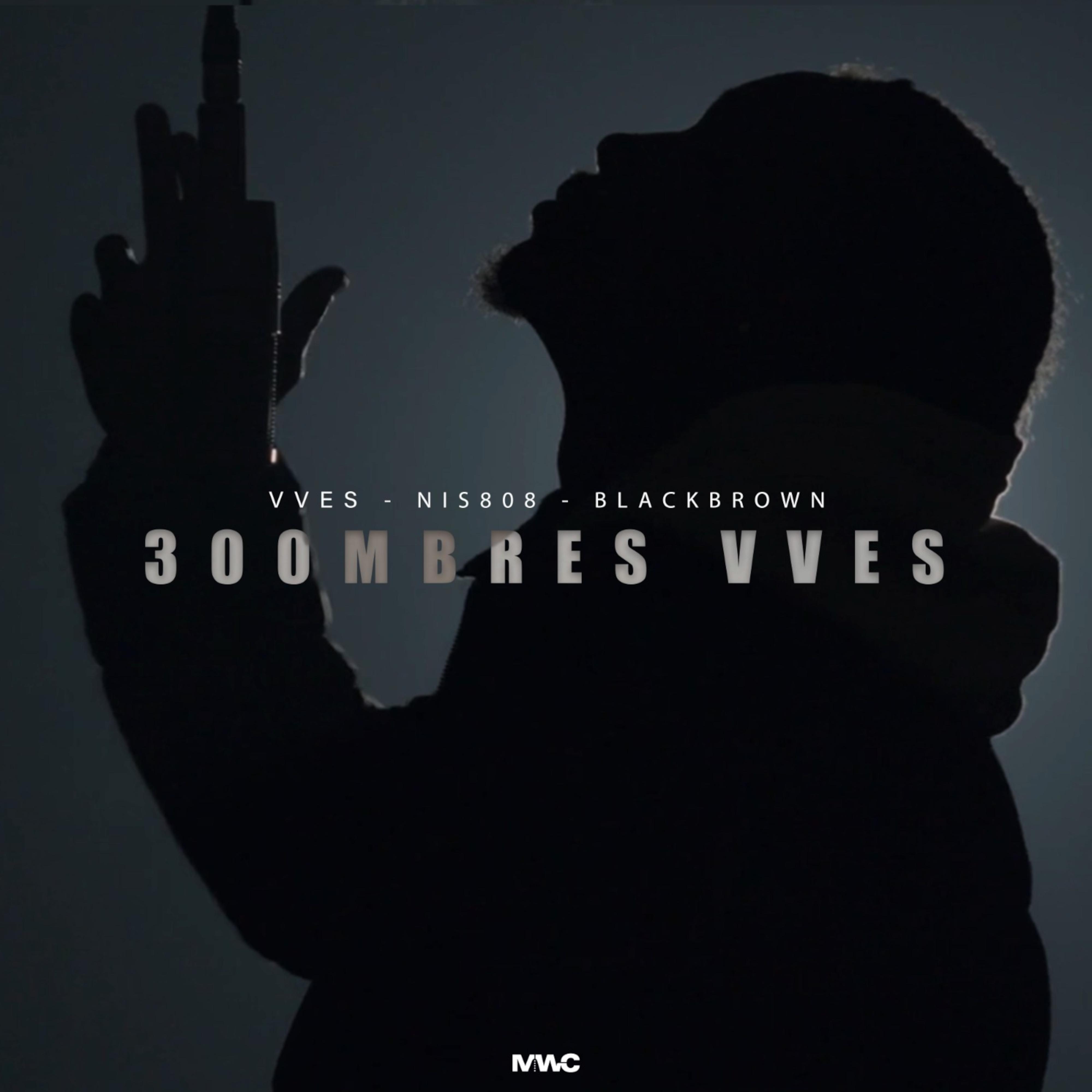 VVES - 300MBRES VVES