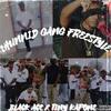 Tiny KaPone - 2Hunnid Gang Freestyle (feat. Black Ace)