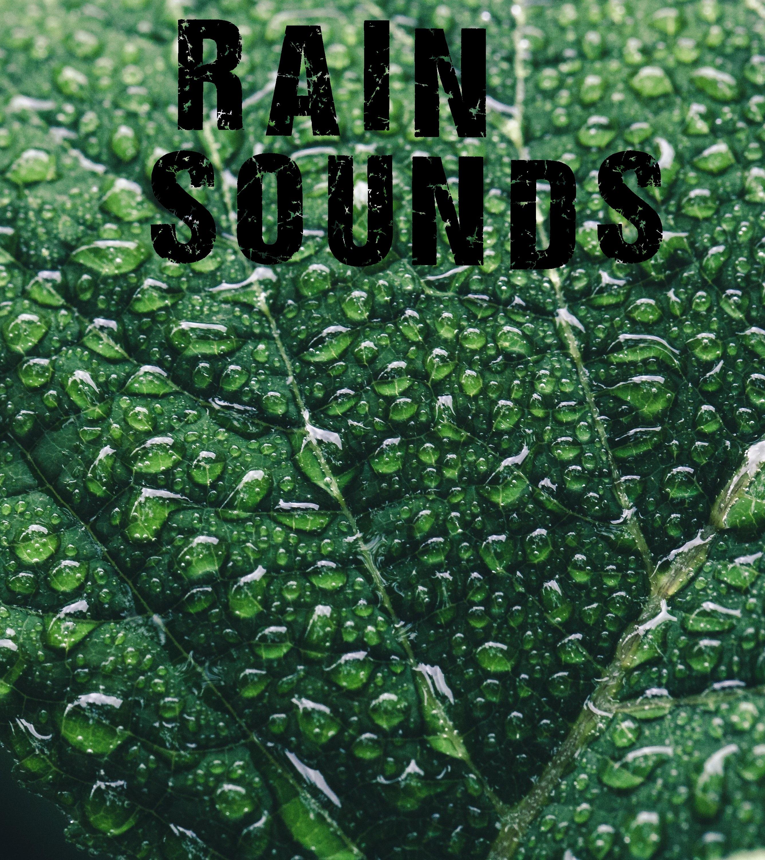 25 Natural Rain Sounds专辑