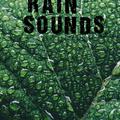 25 Natural Rain Sounds