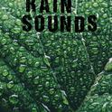 25 Natural Rain Sounds专辑