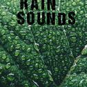 25 Natural Rain Sounds专辑