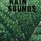 25 Natural Rain Sounds专辑