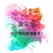 唱不完的柔情蜜意, Vol. 2