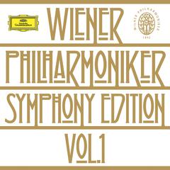 Symphony No.5 In C Minor Op.67:1. Allegro con brio