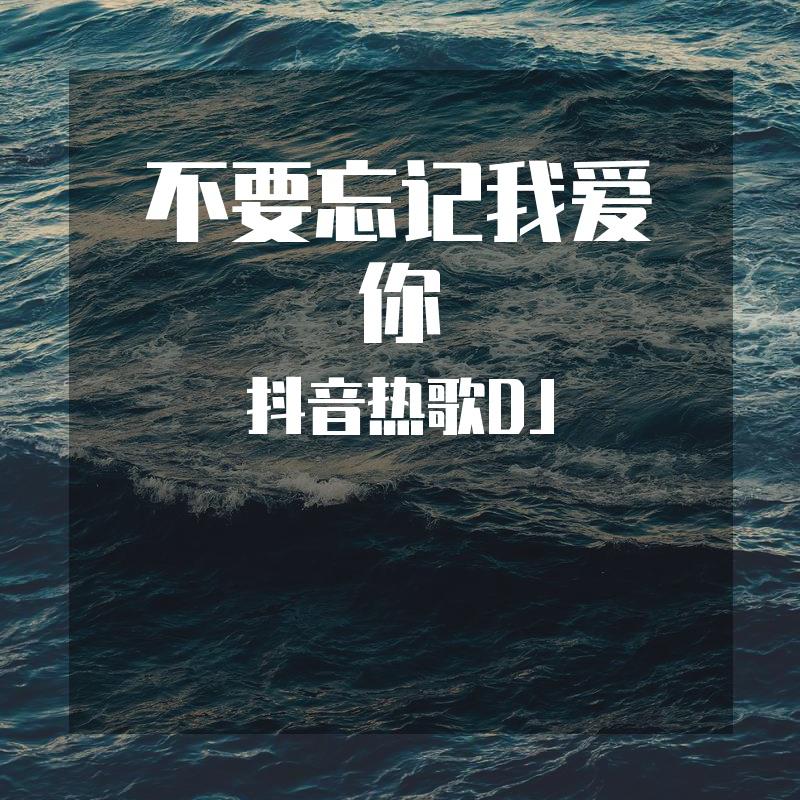 不要忘记我爱你