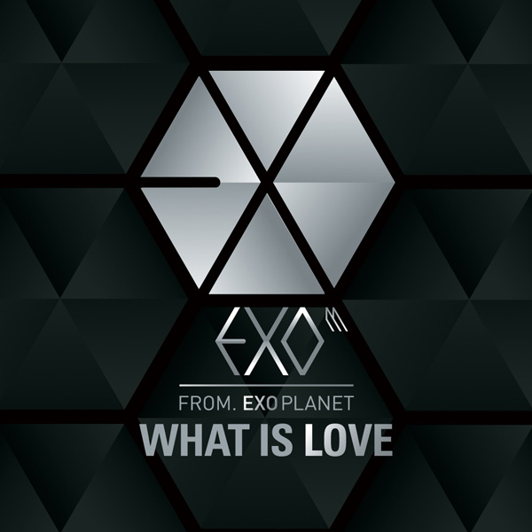 'WHAT IS LOVE' EXO-K 프롤로그 싱글 1st专辑