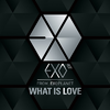 What Is Love (Chinese ver.)