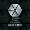 'WHAT IS LOVE' EXO-K 프롤로그 싱글 1st