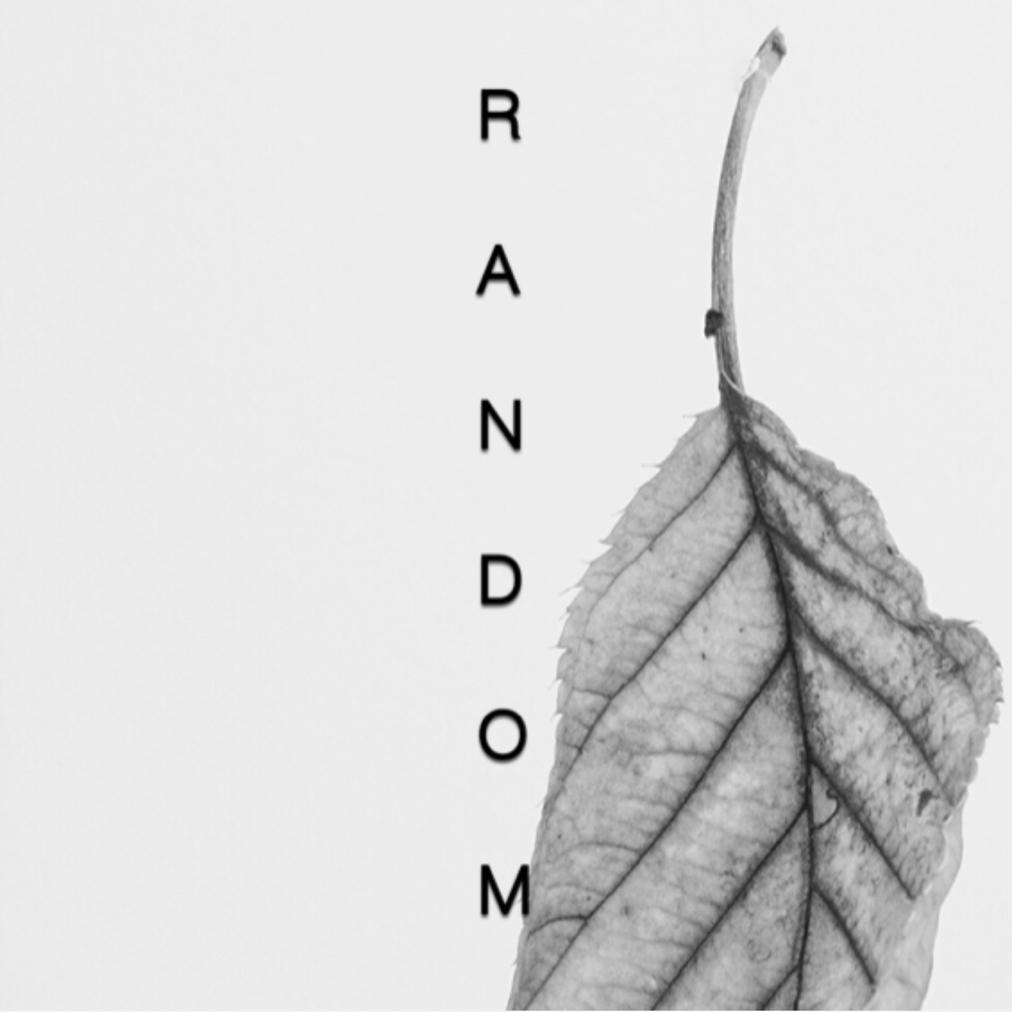 Random Touch 随心触动专辑