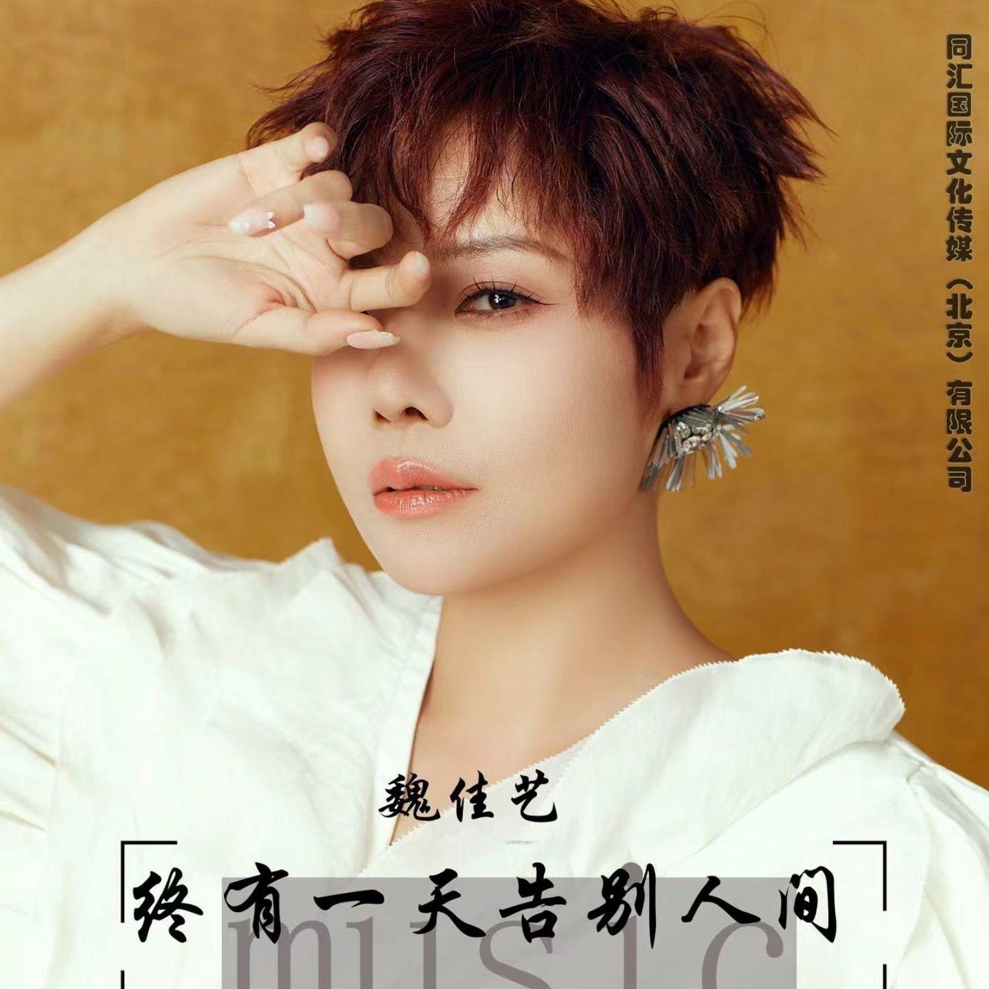 终有一天告别人间（DJ阿远版）