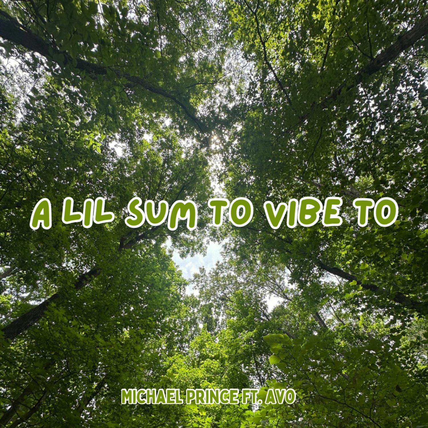 A Lil Sum to Vibe To