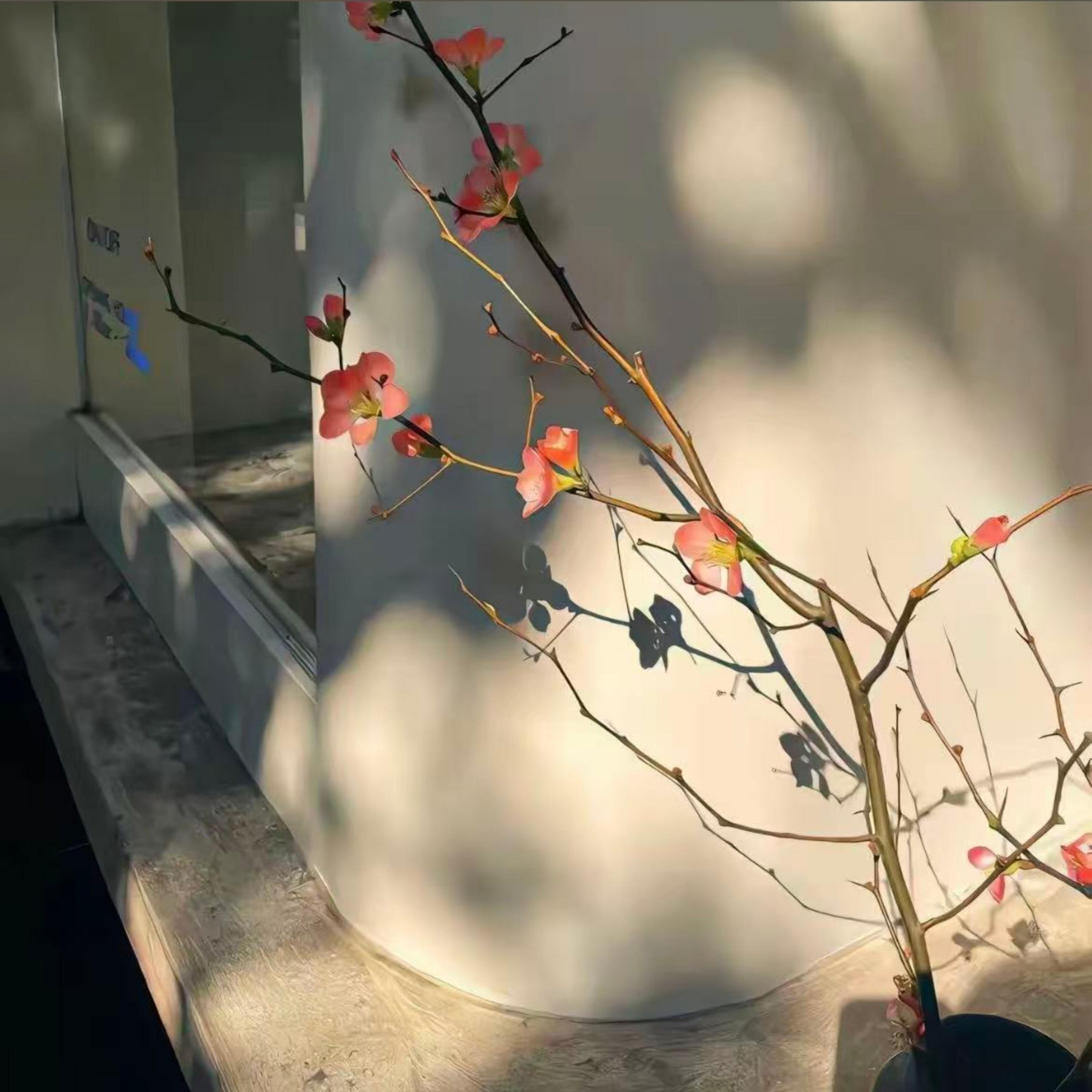 和陌生人的爱恋