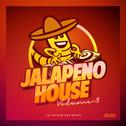 Jalapeno House, Vol. 3专辑