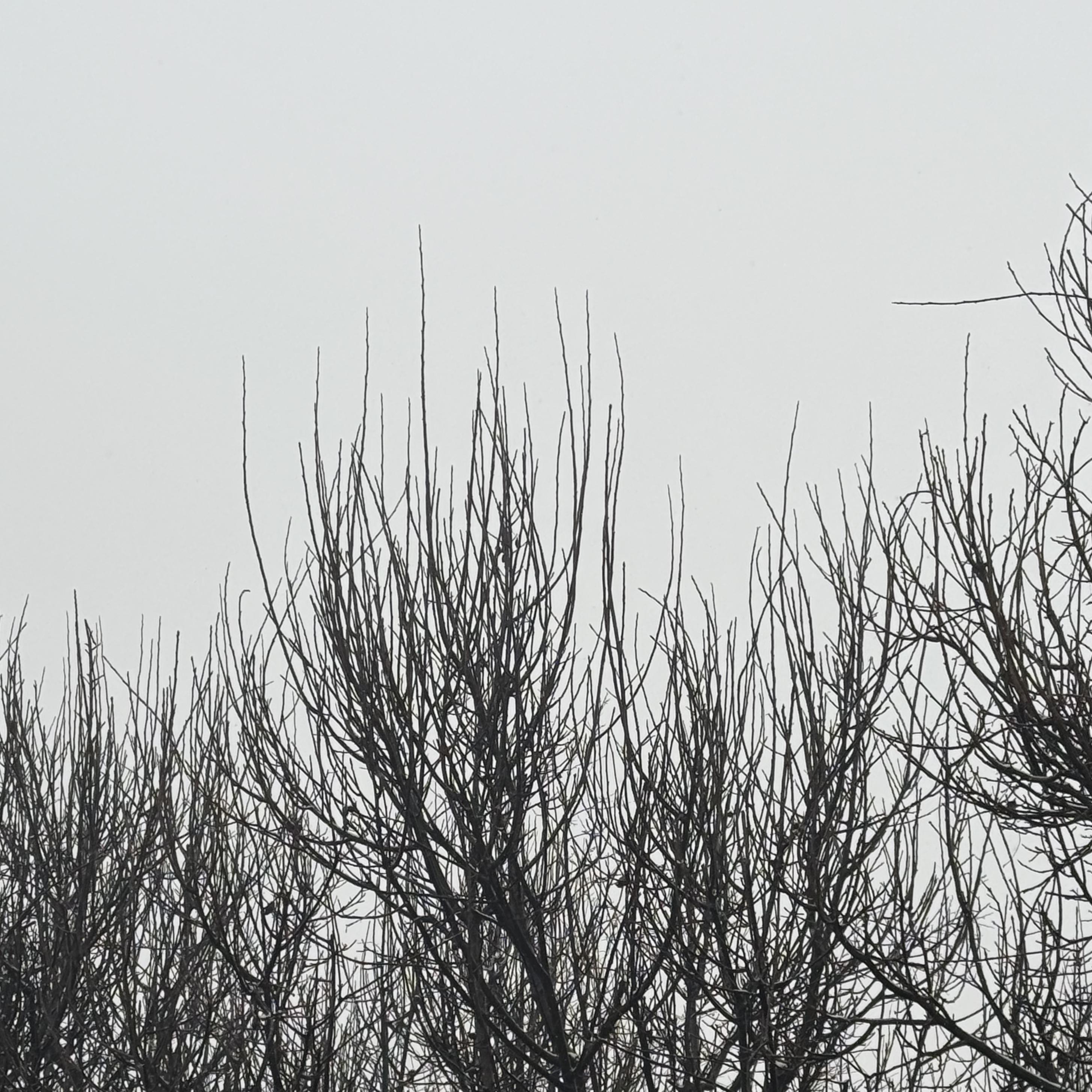 八神純子-みずいろの雨（Night Tempo Showa Groove Mix)（Clearose remix）