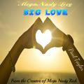 Mega Nasty Love: Big Love