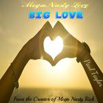 Mega Nasty Love: Big Love专辑