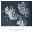 Solo Piano Works Vol. One