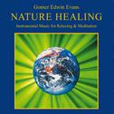Nature Healing专辑