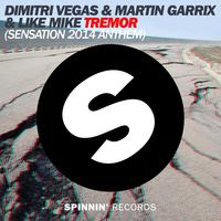 Dimitri Vegas & Like Mike & Ne-Yo & Danna Paola - Mexico (Pre-V) 带和声伴奏
