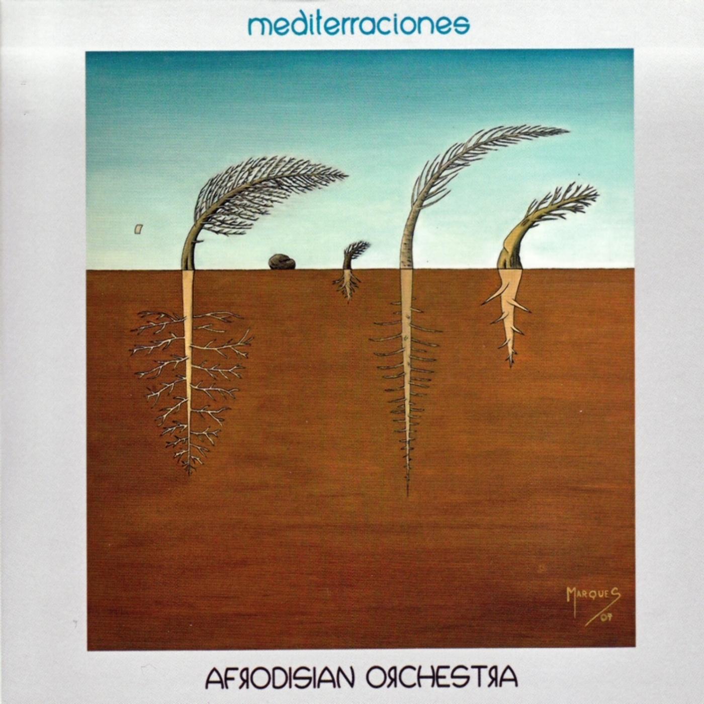 Mediterraciones