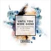 Until You Were Gone (Remixes)专辑