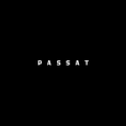 Passat歌手图片