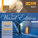 STRAVINSKY, I.: Firebird Suite / Pulcinella Suite / PROKOFIEV, S.: Violin Concerto No. 1 (Wand Editi专辑