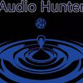 Audio Hunter