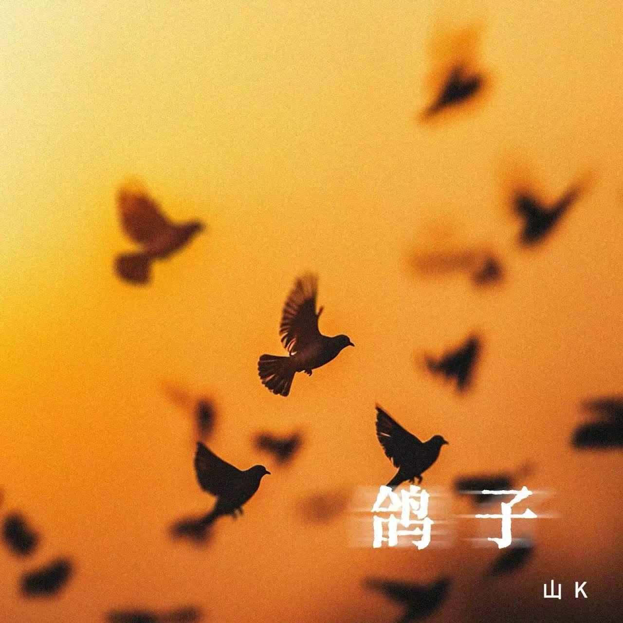 鸽子