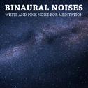 12 Binaural Noises: White and Pink Noise for Meditation专辑