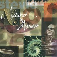s In Need Of Love Today - Stevie Wonder (karaoke Version)