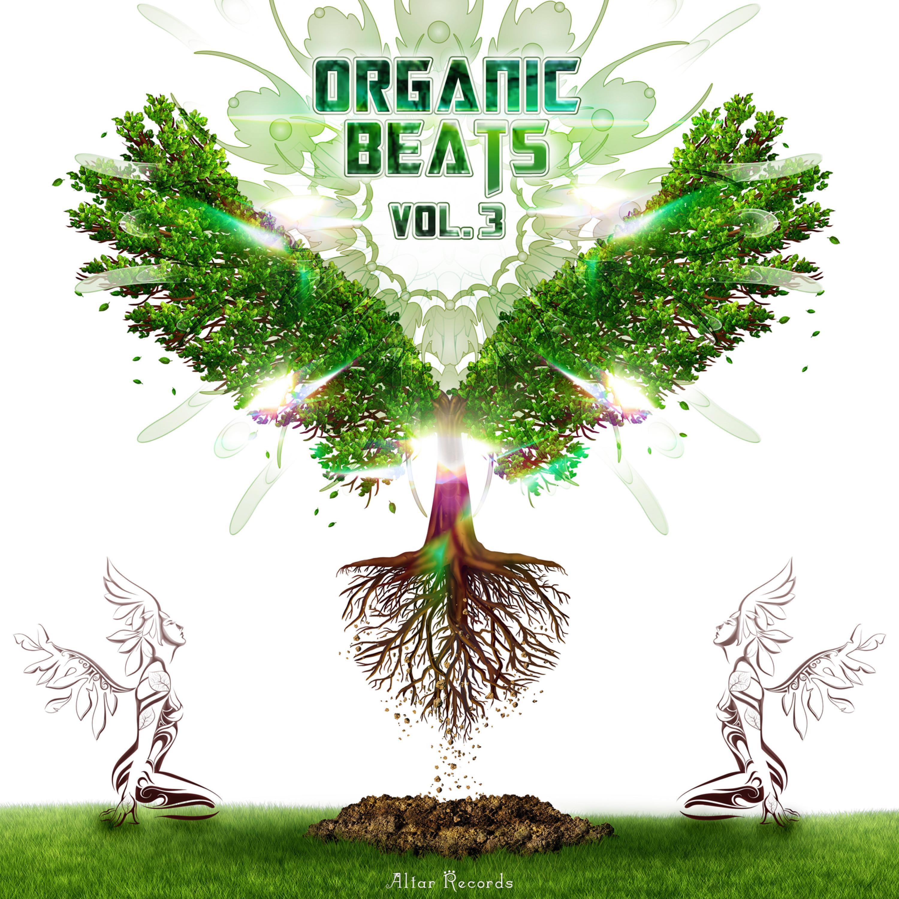 VA Organic Beats Vol. 3 - Tingling Roots