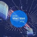  What I Want (Liva K Remix)专辑