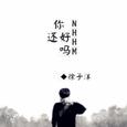 你还好吗