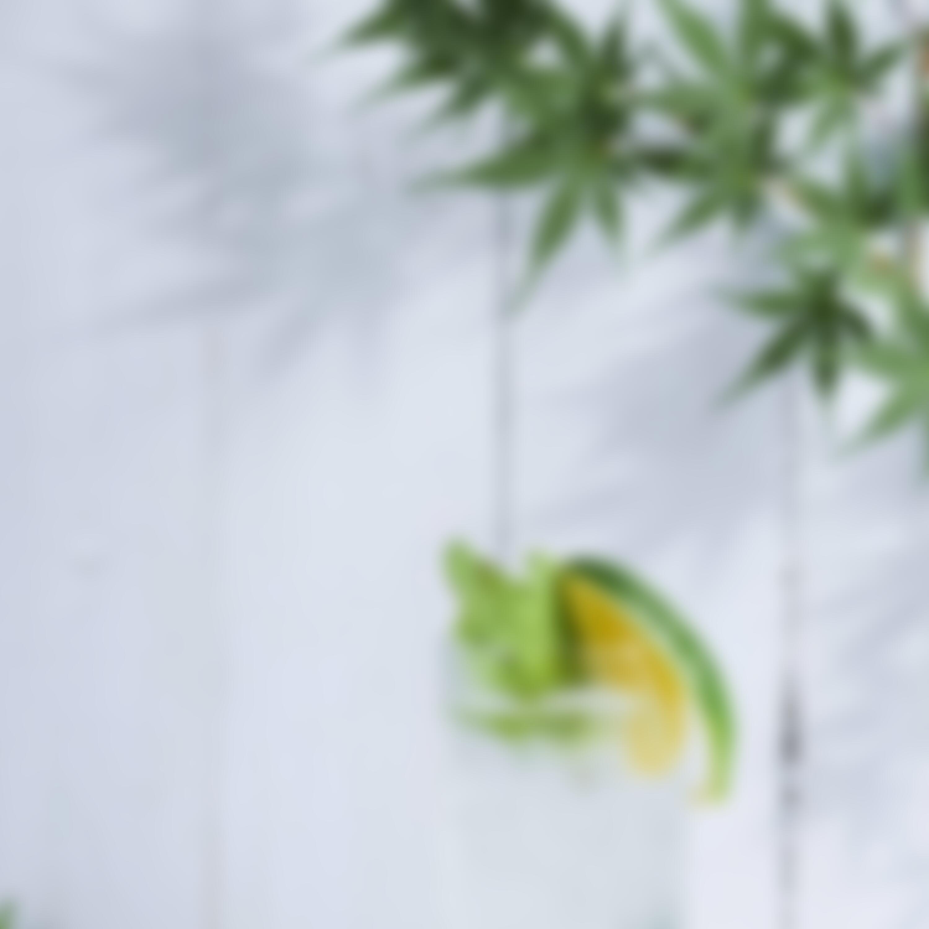 反方向的钟 (feat. 余不不 & 里欧同学) (女声版)