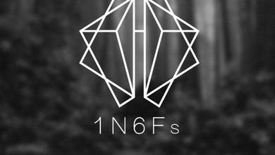 1N6Fs