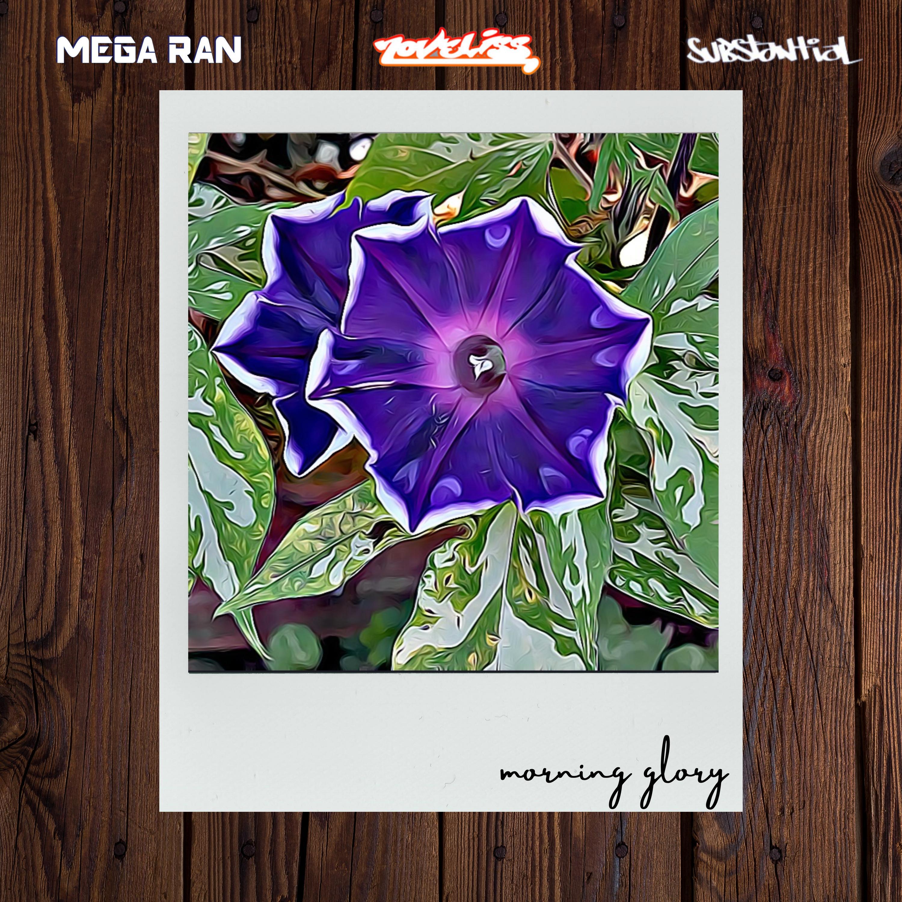 Mega Ran - Morning Glory