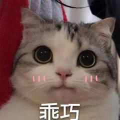 我的名字