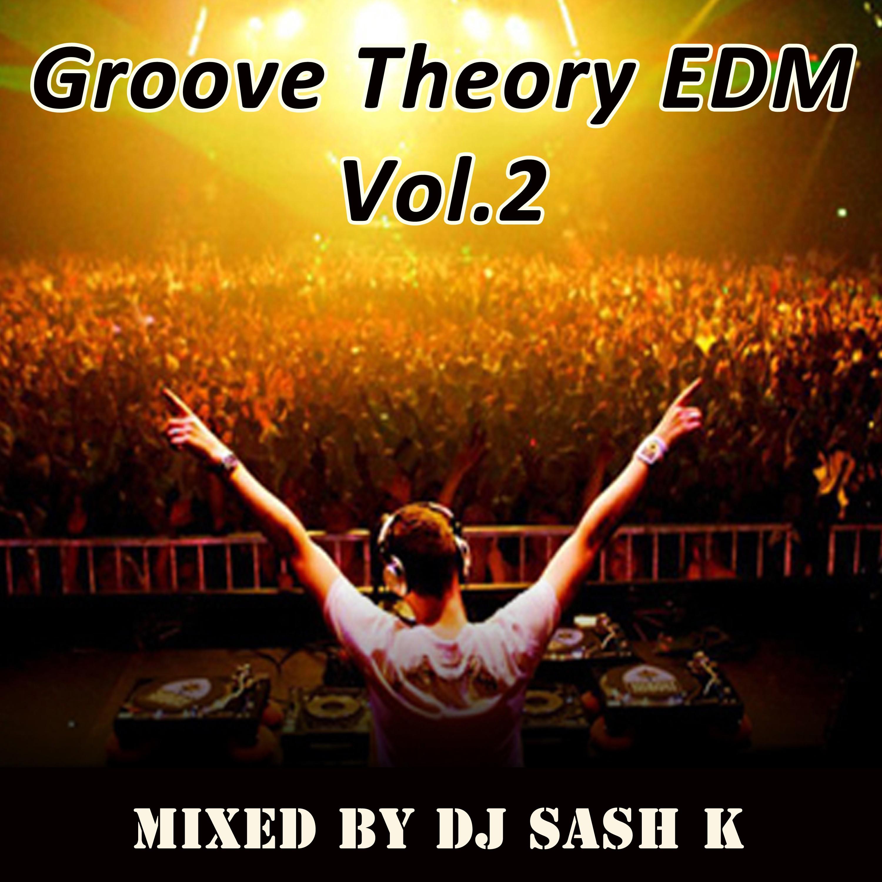 Groove Theory EDM Vol. 2 (Continuous DJ Mix)