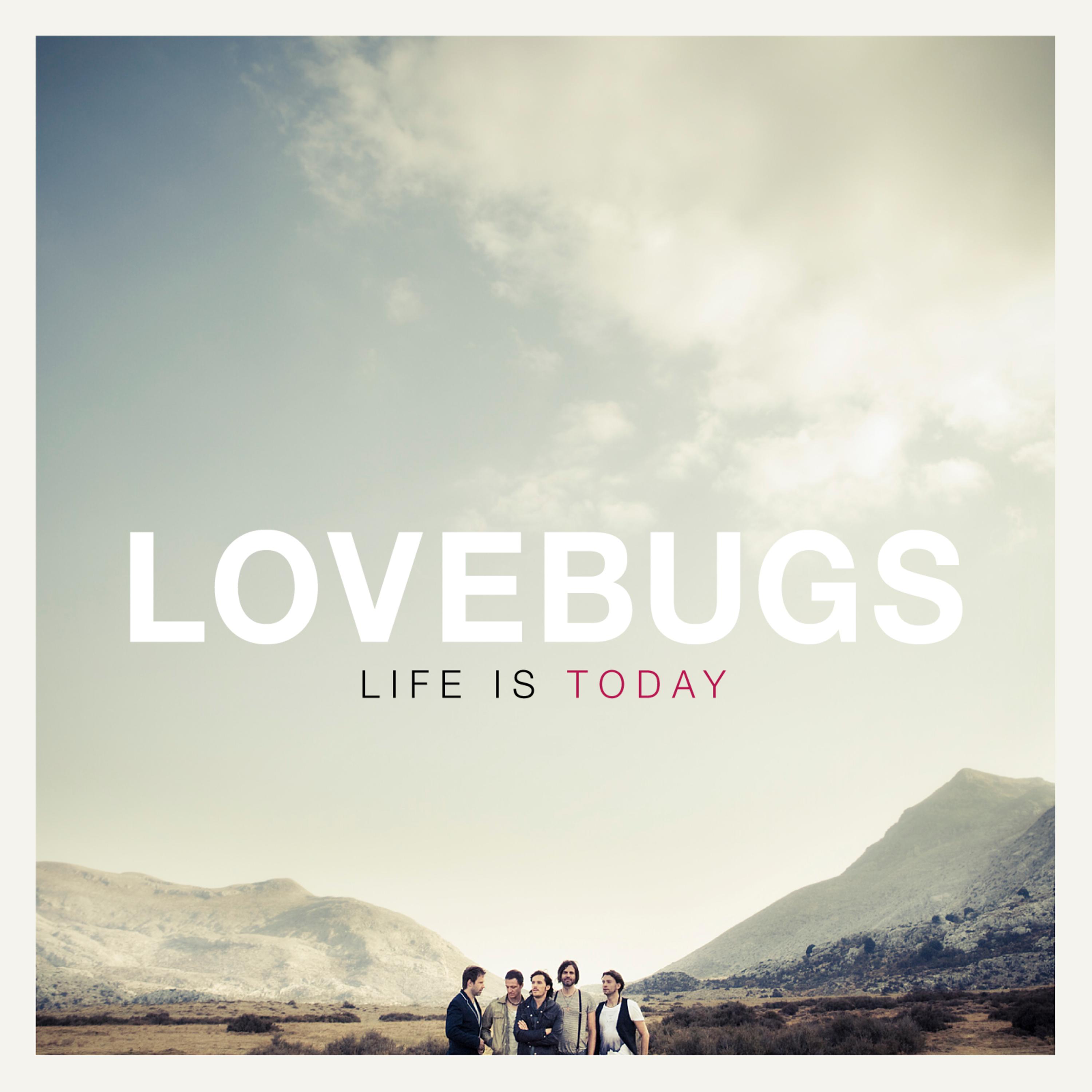 Lovebugs - Who Needs Sleep Tonight?