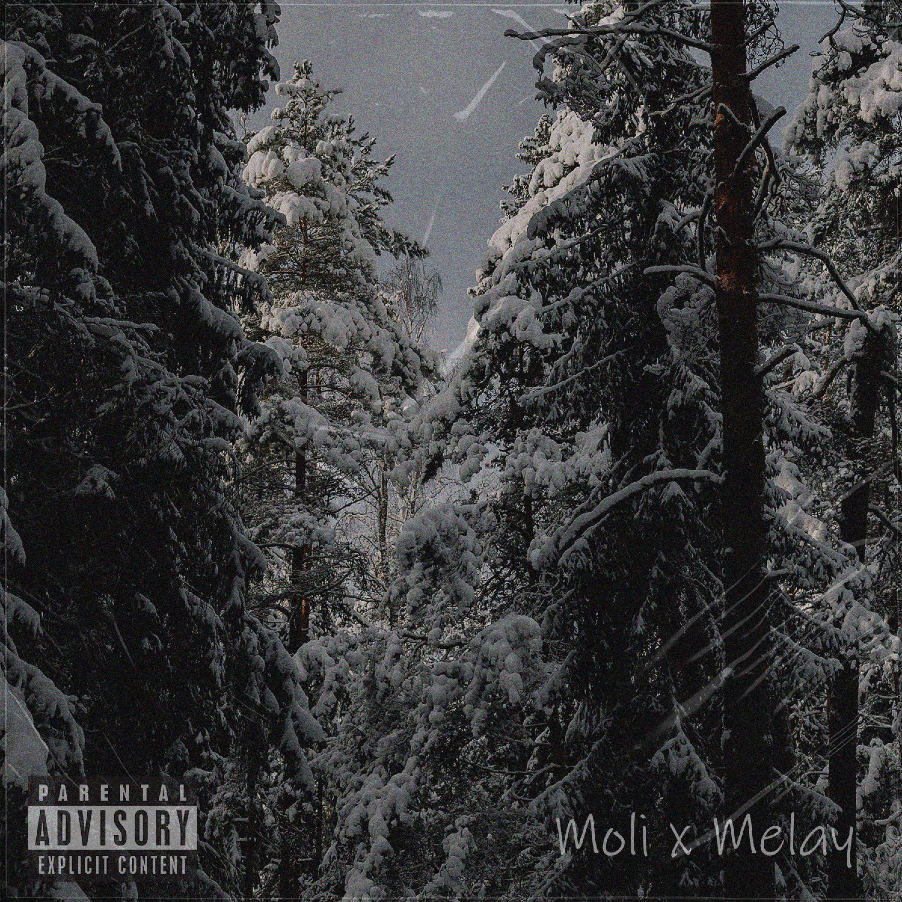 Moli.mp3 - Engel (feat. Melay)