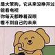 上饒天選之子