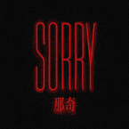 专辑《Sorry那奇》