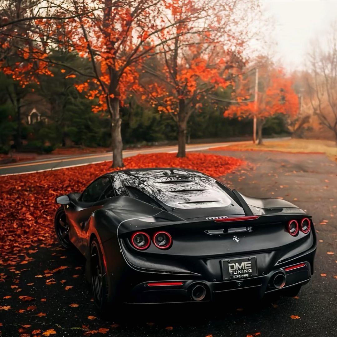 Rosy（dilxat-by remix）