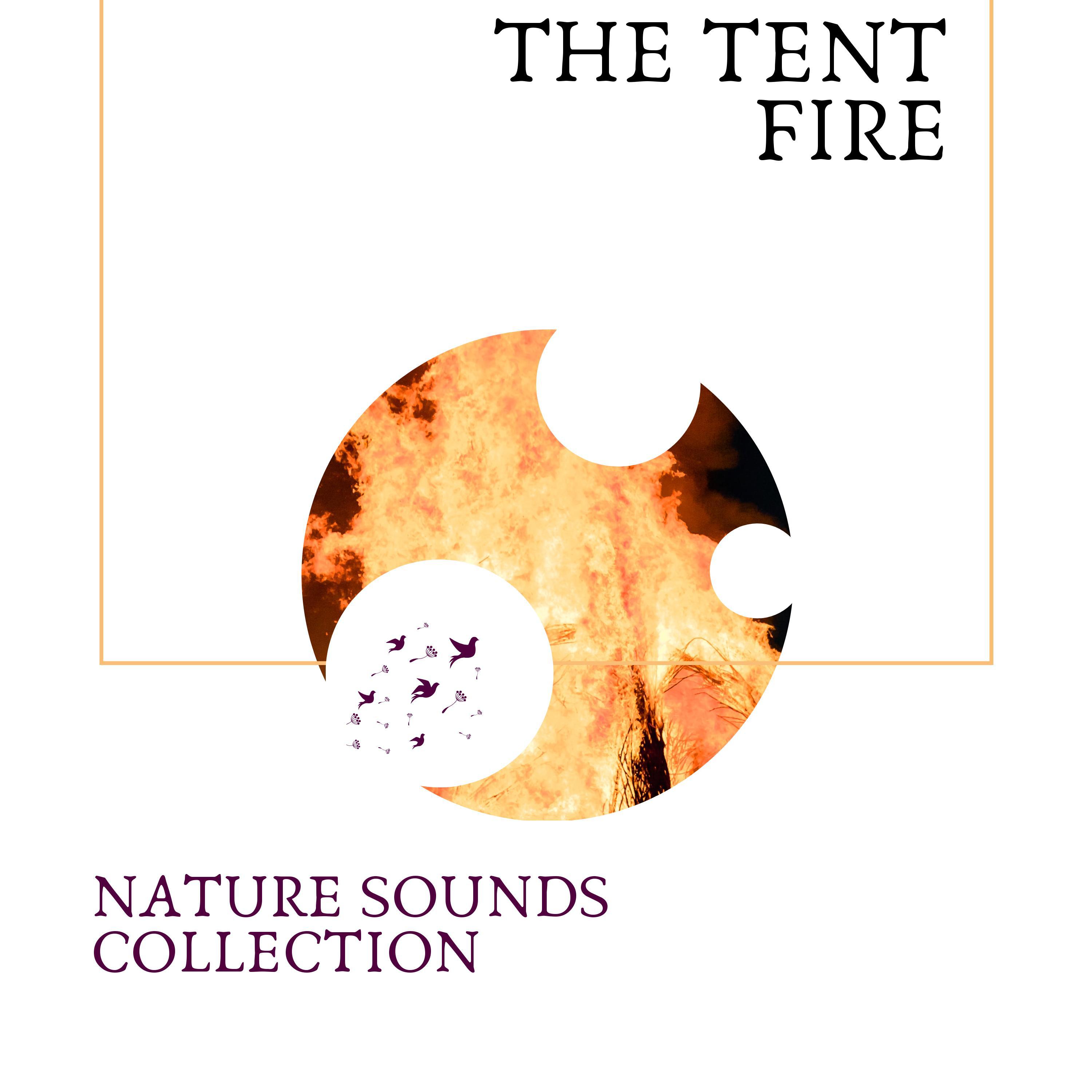 Popping Nature Fire Sound Project - Burning Sticks at Peaceful Garden