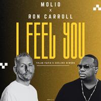 Molio - I Feel You